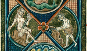 Adam 9