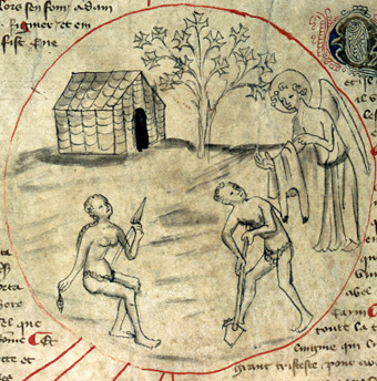 Adam 7